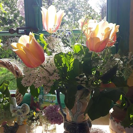 Chez Cathy Bed & Breakfast Arzier Bagian luar foto