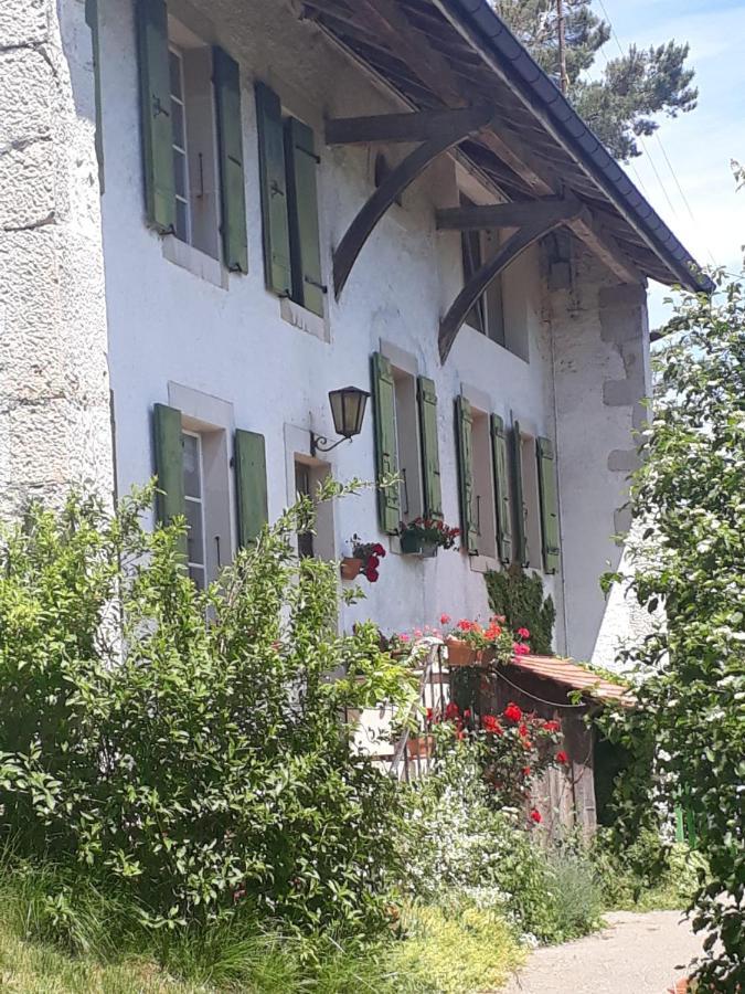 Chez Cathy Bed & Breakfast Arzier Bagian luar foto